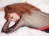 amy-02-12.jpg
