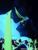 john_orchid-01-23.jpg