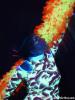 john_orchid-01-35.jpg